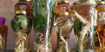 Rượu ngâm Tây Bắc là loại rượu truyền thống