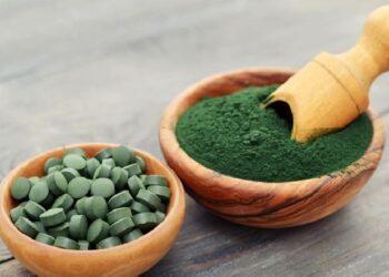 Tảo biển chứa nhiều vitamin và khoáng chất